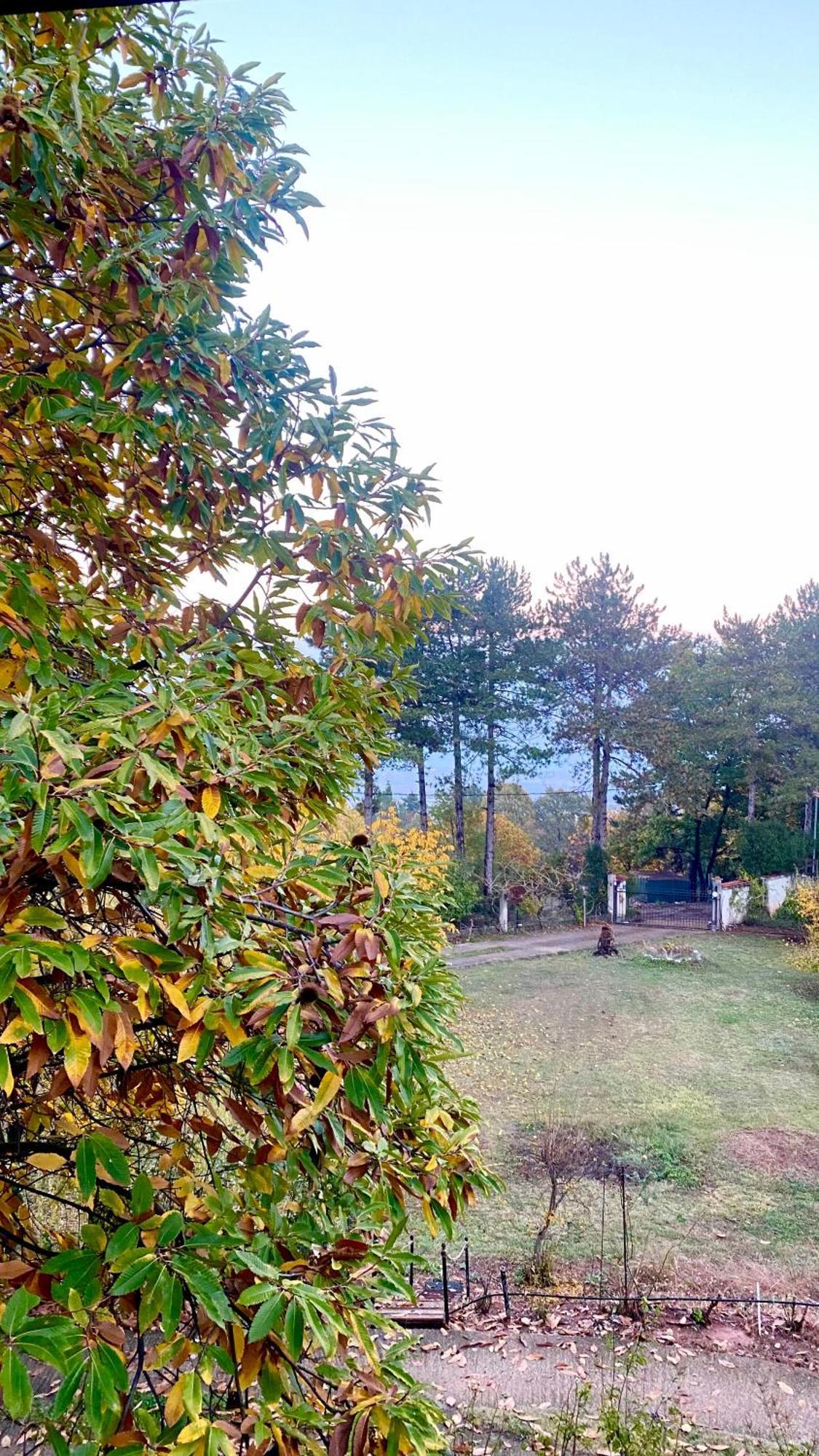 Mountain House Litochoro